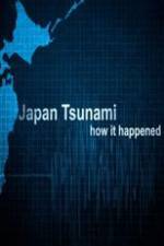 Watch Japan Tsunami: How It Happened Wolowtube