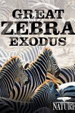 Watch Nature: Great Zebra Exodus Wolowtube