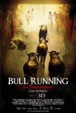 Watch Encierro 3D: Bull Running in Pamplona Wolowtube