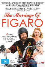 Watch The Marriage of Figaro Wolowtube