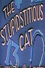 Watch Stupidstitious Cat Wolowtube