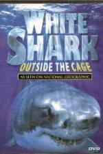 Watch National Geographic white shark:outside the cage Wolowtube