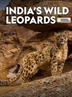 Watch India\'s Wild Leopards (Short 2020) Wolowtube