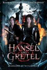 Watch Hansel & Gretel: Warriors of Witchcraft Wolowtube
