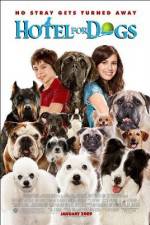 Watch Hotel for Dogs Wolowtube