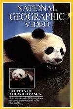 Watch Secrets of the Wild Panda Wolowtube