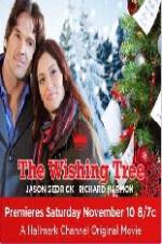 Watch The Wishing Tree Wolowtube