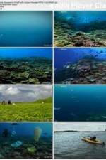 Watch National Geographic: Pacific Ocean Paradise Wolowtube