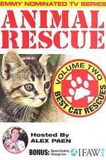 Watch Animal Rescue, Volume 2: Best Cat Rescues Wolowtube