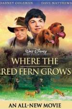 Watch Where the Red Fern Grows Wolowtube
