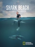 Watch Shark Beach with Chris Hemsworth (TV Special 2021) Wolowtube