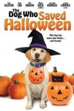 Watch The Dog Who Saved Halloween Wolowtube