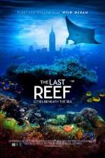 Watch The Last Reef 3D Wolowtube