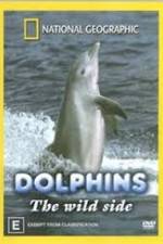 Watch Dolphins: The Wild Side Wolowtube