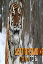 Watch Discovery Channel-Last Tiger Standing Wolowtube