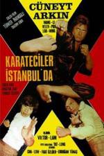 Watch Karate on the Bosphorus Wolowtube