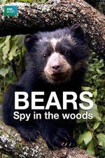 Watch Bears: Spy in the Woods Wolowtube