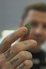 Watch Professor Green: Is It Time to Legalise Weed? Wolowtube