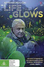 Watch Attenborough\'s Life That Glows Wolowtube