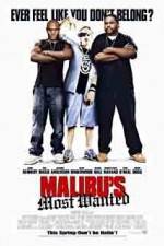 Watch Malibu's Most Wanted Wolowtube