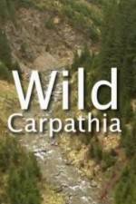 Watch Wild Carpathia Wolowtube