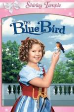 Watch The Blue Bird Wolowtube