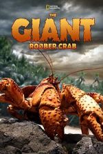 Watch The Giant Robber Crab Wolowtube