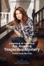Watch A Bundle of Trouble: An Aurora Teagarden Mystery Wolowtube