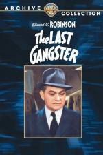 Watch The Last Gangster Wolowtube