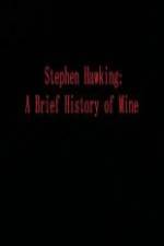 Watch Stephen Hawking A Brief History of Mine Wolowtube