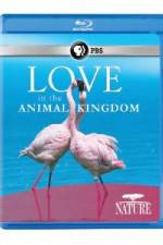 Watch Nature: Love in the Animal Kingdom Wolowtube