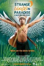 Watch Strange Birds in Paradise A West Papuan Story Wolowtube