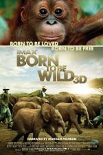 Watch Born to Be Wild Wolowtube