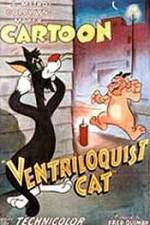 Watch Ventriloquist Cat Wolowtube
