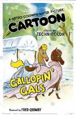 Watch Gallopin\' Gals Wolowtube