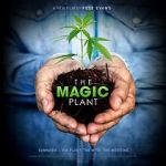 Watch The Magic Plant Wolowtube