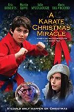 Watch A Karate Christmas Miracle Wolowtube