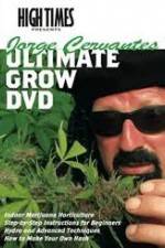 Watch High Times: Jorge Cervantes Ultimate Grow Wolowtube