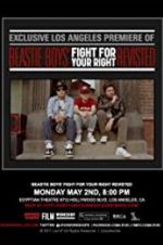 Watch Beastie Boys: Fight for Your Right Revisited Wolowtube