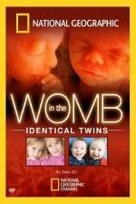 Watch National Geographic: In the Womb - Identical Twins Wolowtube