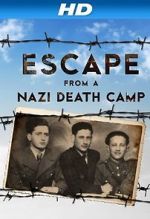Watch Escape From a Nazi Death Camp Wolowtube