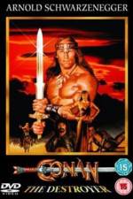 Watch Conan the Destroyer Wolowtube