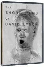 Watch The Short Films of David Lynch Wolowtube