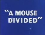 Watch A Mouse Divided (Short 1953) Wolowtube