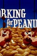 Watch Working For Peanuts Wolowtube
