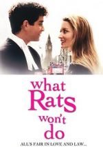 Watch What Rats Won\'t Do Wolowtube