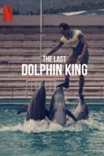 Watch The Last Dolphin King Wolowtube