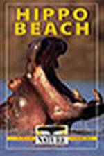 Watch PBS Nature - Hippo Beach Wolowtube