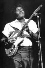 Watch Albert Collins in Concert Wolowtube