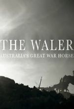 Watch The Waler: Australia\'s Great War Horse Wolowtube